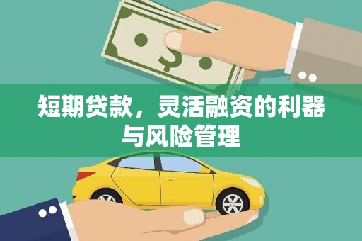 永川短期贷款，灵活融资的利器与风险管理