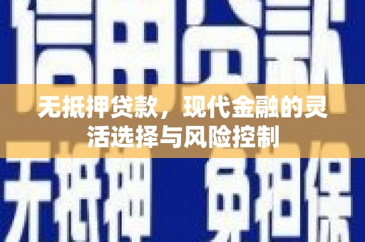 永川无抵押贷款，现代金融的灵活选择与风险控制