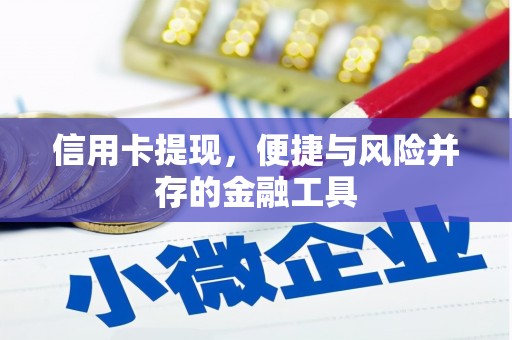 永川信用卡提现，便捷与风险并存的金融工具