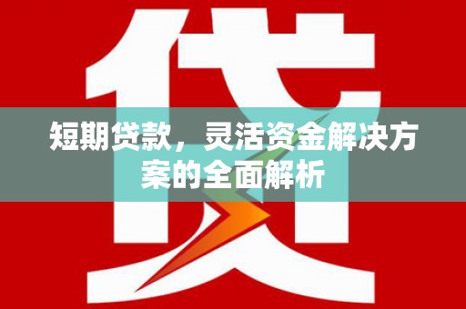 永川短期贷款，灵活资金解决方案的全面解析