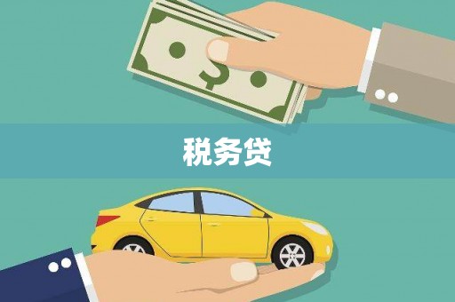 永川税务贷