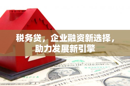 永川税务贷，企业融资新选择，助力发展新引擎