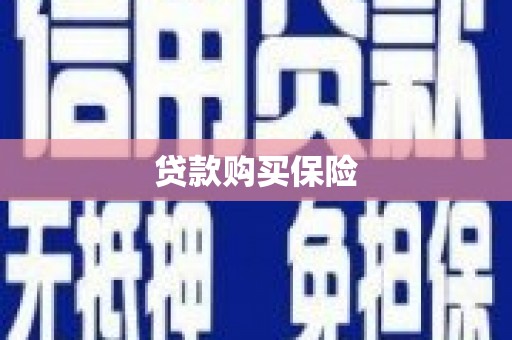 永川贷款购买保险