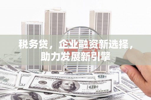 永川税务贷，企业融资新选择，助力发展新引擎