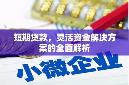 永川短期贷款，灵活资金解决方案的全面解析