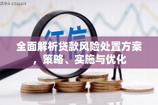 永川全面解析贷款风险处置方案，策略、实施与优化