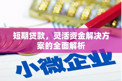永川短期贷款，灵活资金解决方案的全面解析