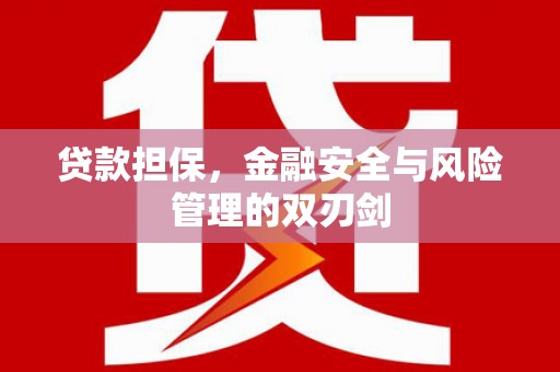 永川贷款担保，金融安全与风险管理的双刃剑