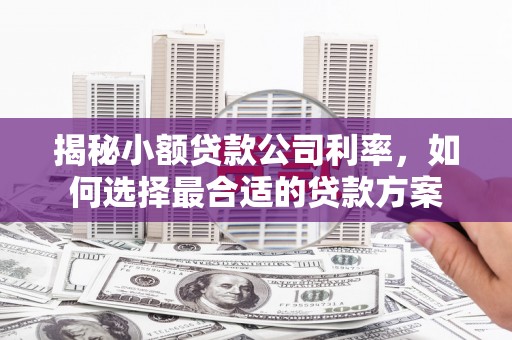 永川揭秘小额贷款公司利率，如何选择最合适的贷款方案