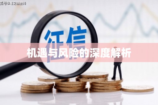 永川机遇与风险的深度解析