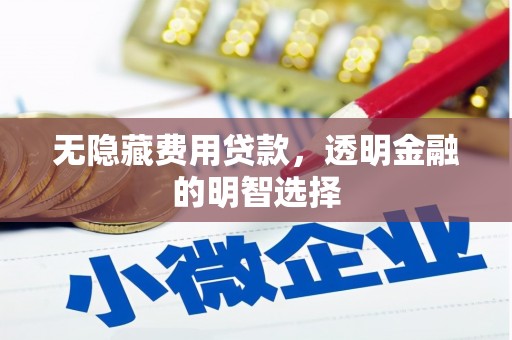 永川无隐藏费用贷款，透明金融的明智选择