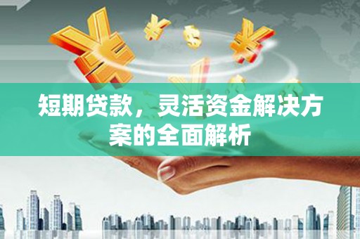 永川短期贷款，灵活资金解决方案的全面解析