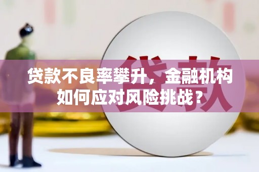 永川贷款不良率攀升，金融机构如何应对风险挑战？