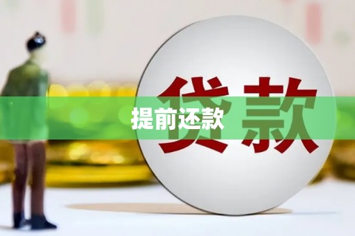 永川提前还款