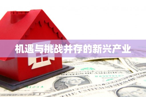 永川机遇与挑战并存的新兴产业