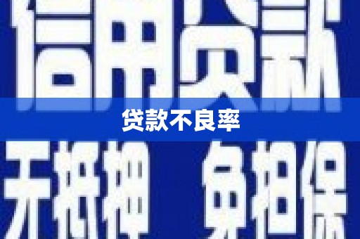 永川贷款不良率