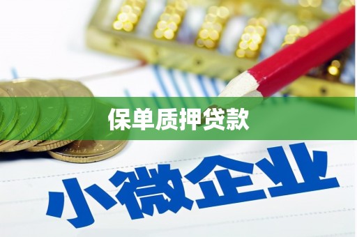 永川保单质押贷款
