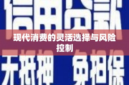 永川现代消费的灵活选择与风险控制