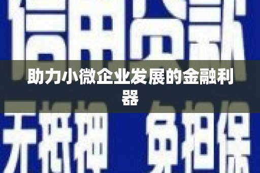 永川助力小微企业发展的金融利器