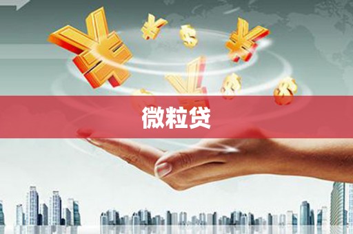 永川微粒贷
