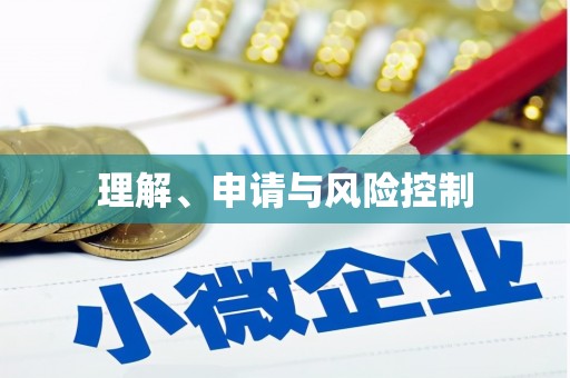 永川理解、申请与风险控制