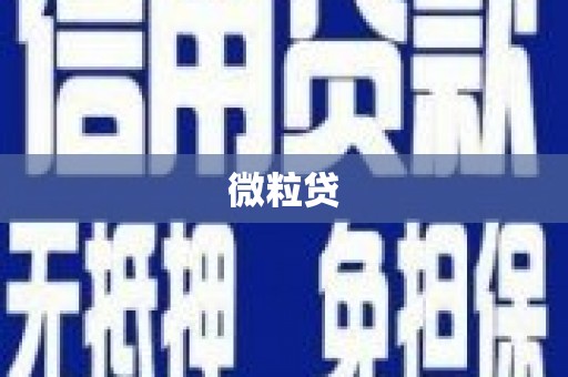 永川微粒贷