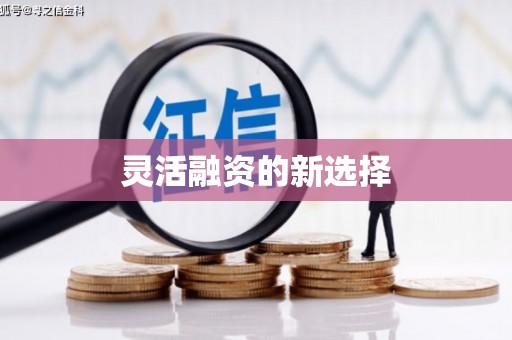 永川灵活融资的新选择