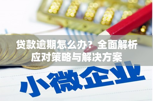 永川贷款逾期怎么办？全面解析应对策略与解决方案