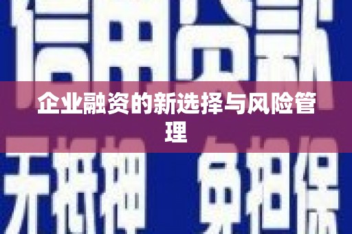 永川企业融资的新选择与风险管理