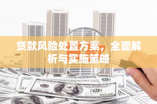 永川贷款风险处置方案，全面解析与实施策略