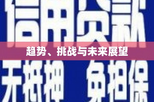 永川趋势、挑战与未来展望