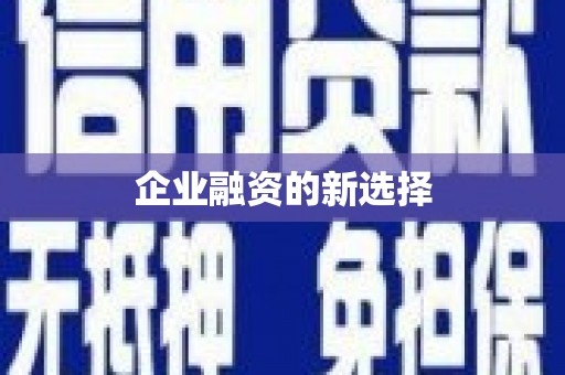 永川企业融资的新选择