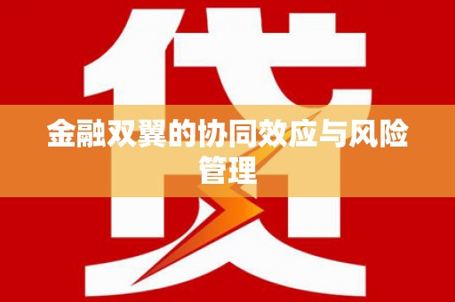 永川金融双翼的协同效应与风险管理
