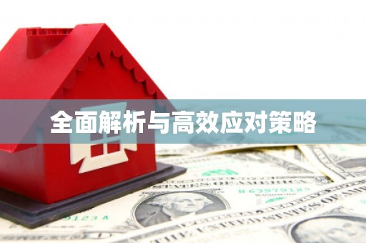 永川全面解析与高效应对策略