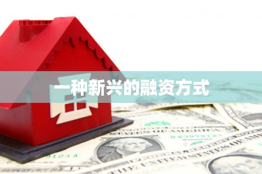 永川一种新兴的融资方式