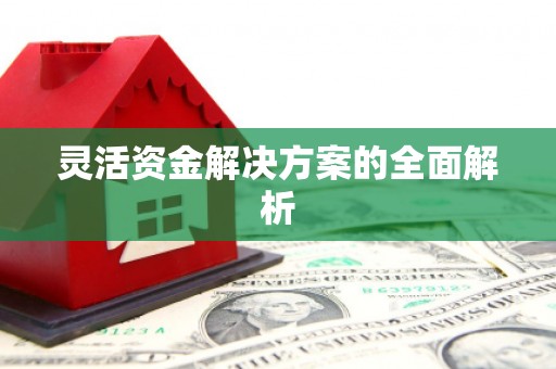 永川灵活资金解决方案的全面解析