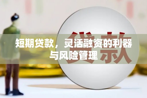 永川短期贷款，灵活融资的利器与风险管理