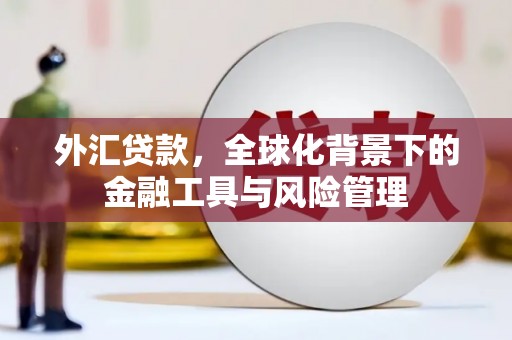 永川外汇贷款，全球化背景下的金融工具与风险管理