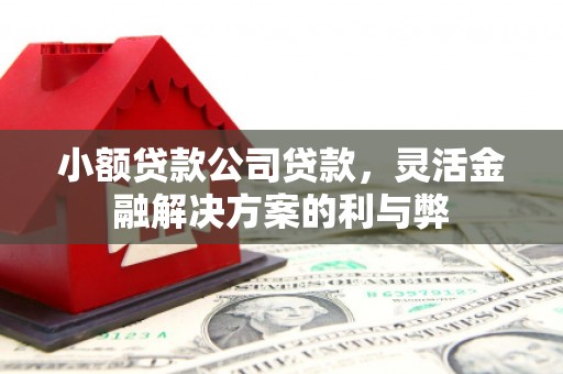 永川小额贷款公司贷款，灵活金融解决方案的利与弊