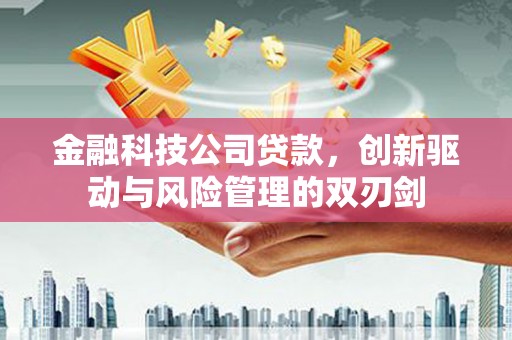 永川金融科技公司贷款，创新驱动与风险管理的双刃剑